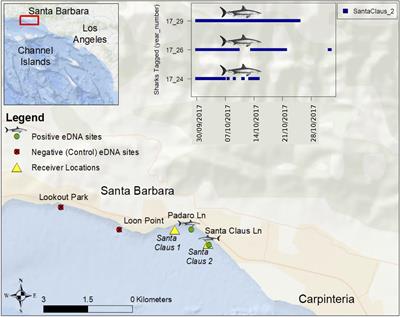 Detecting Southern California’s White Sharks With Environmental DNA